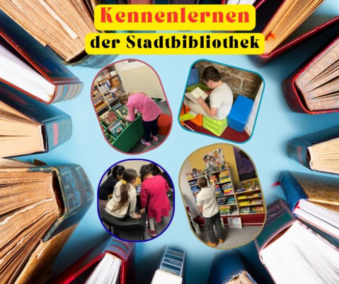 biblio.jpg