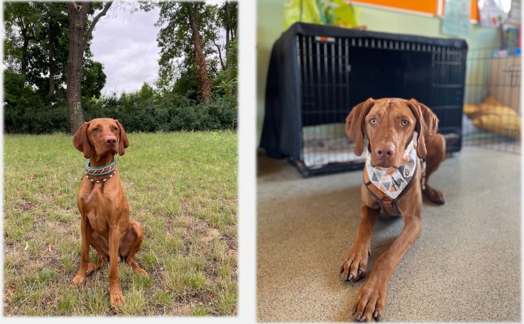arlo1.jpg