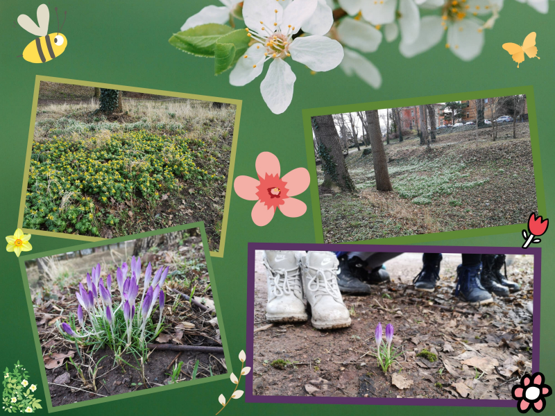 collagepark(1).jpg
